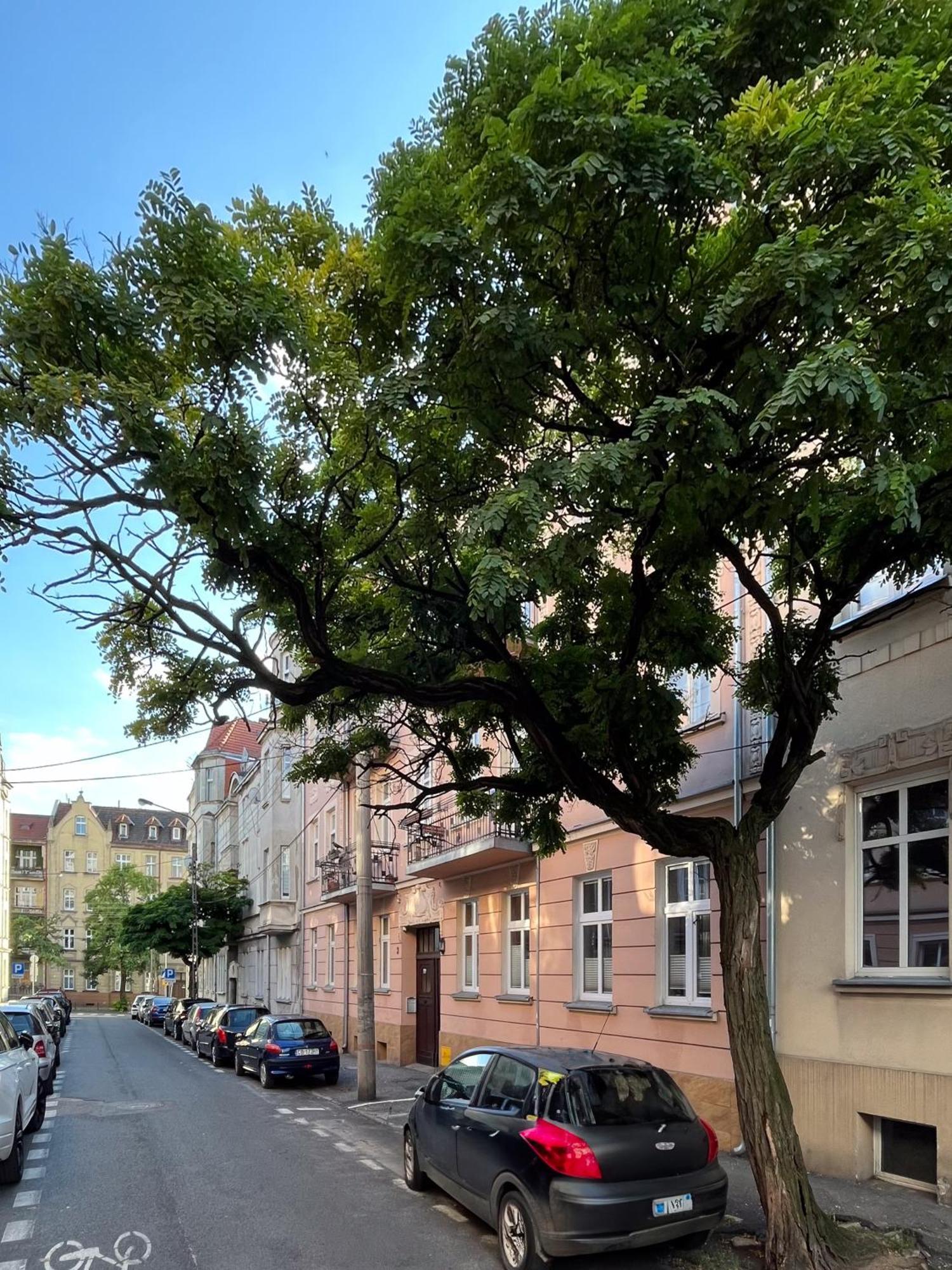 Apartament Dlugosza 3 - Jak W Domu - Idealny Na Dlugie Pobyty I Weekendy Bydgoszcz Kültér fotó
